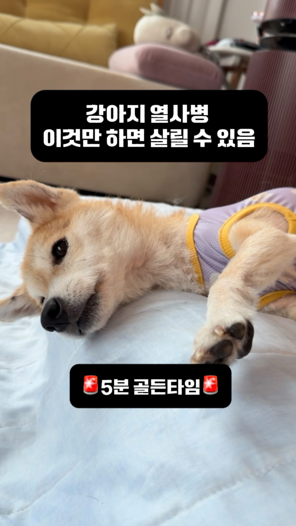 공연, 콘서트, 뮤지컬, 영화, 엔터테인먼트 산업 실무진출 교육