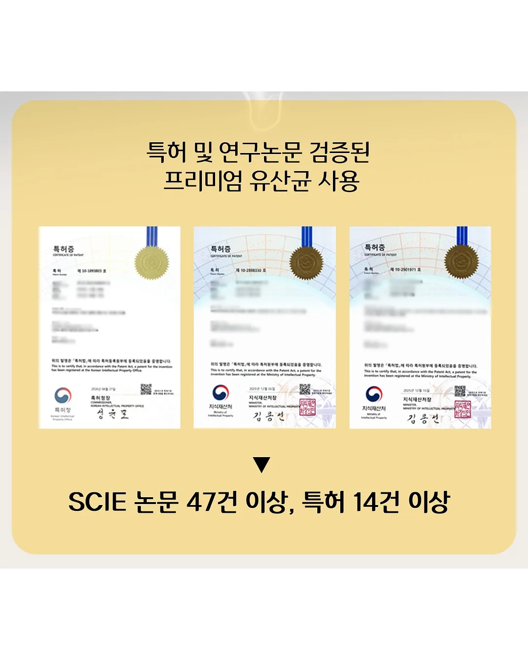 살로몬 운동화 6