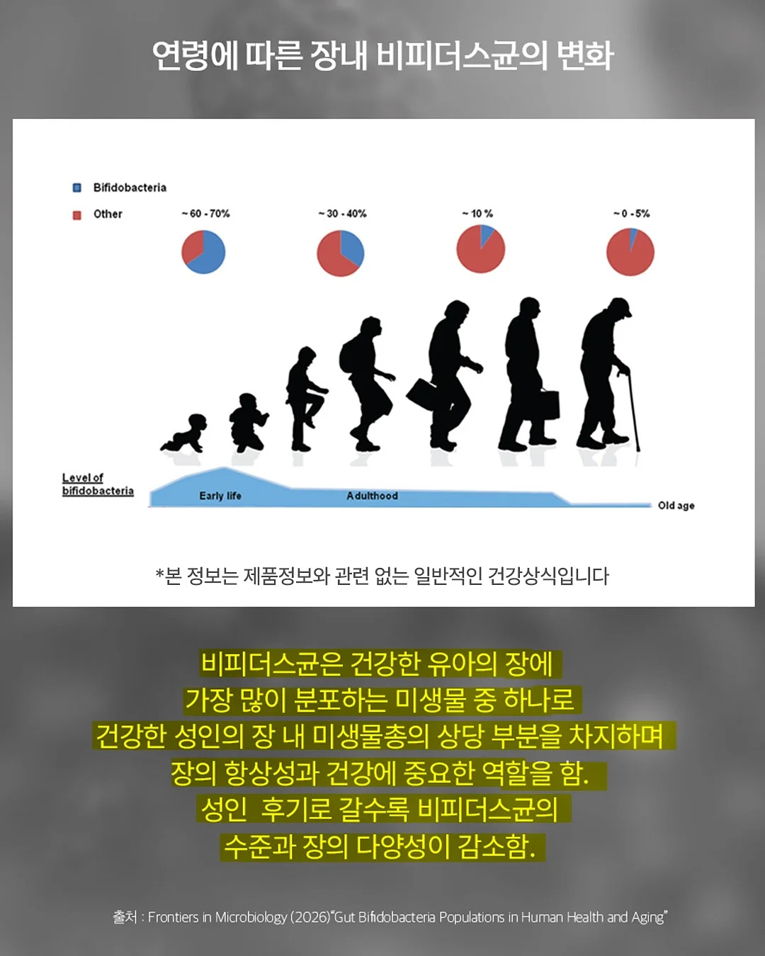 살로몬 운동화 9