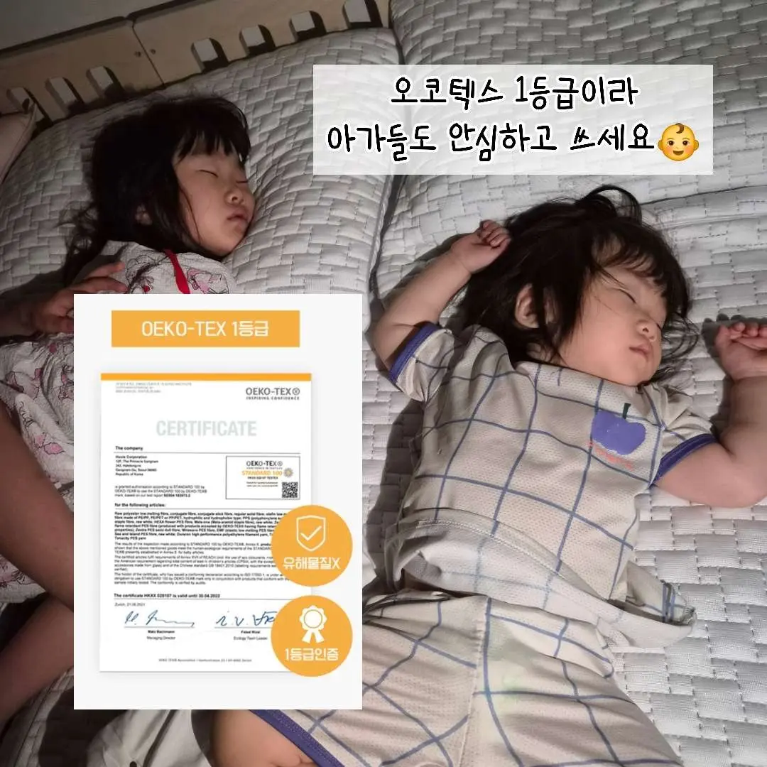 코토나 홈바디 브라운 헤이즐 세트 7