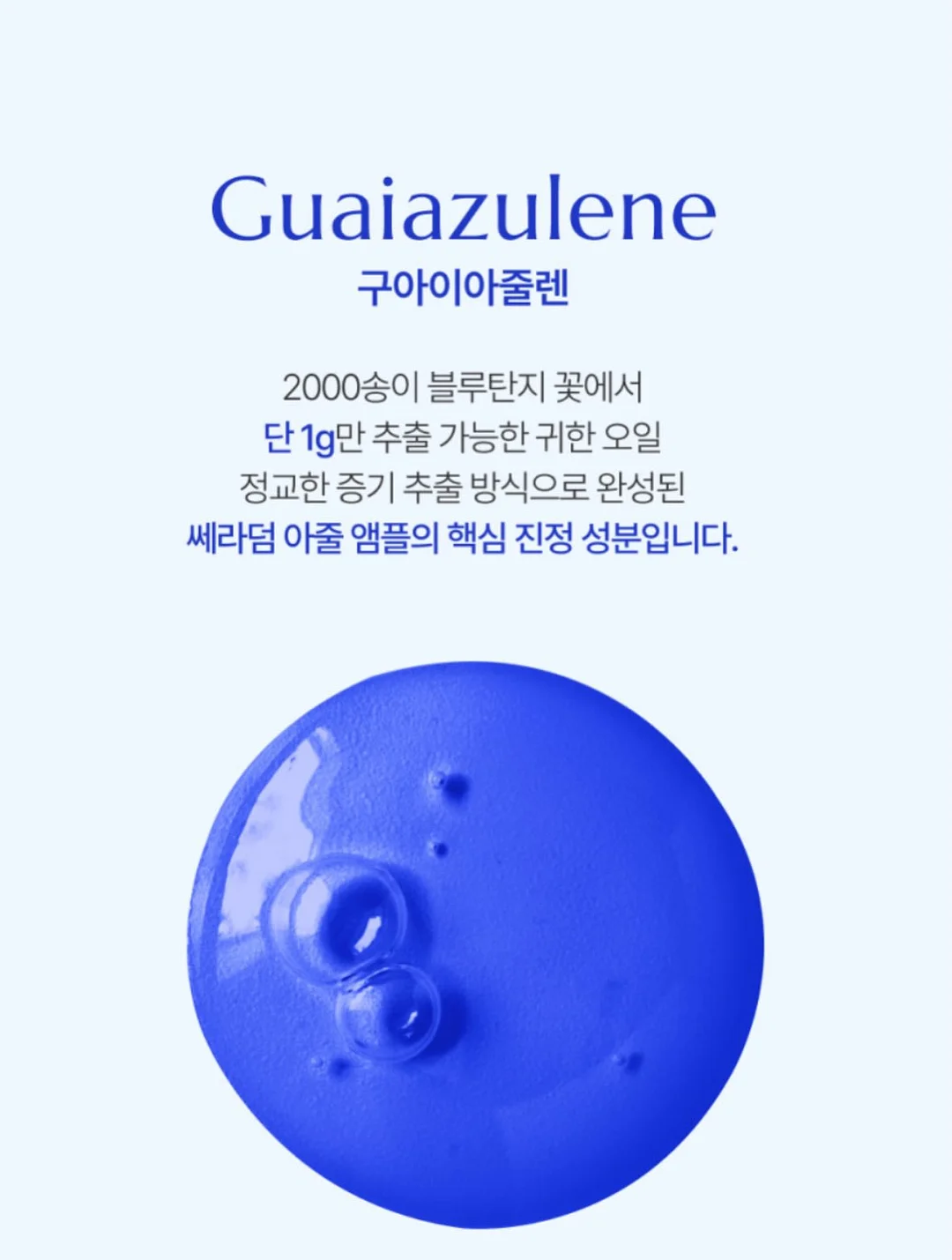 매장쿠키라인업 18