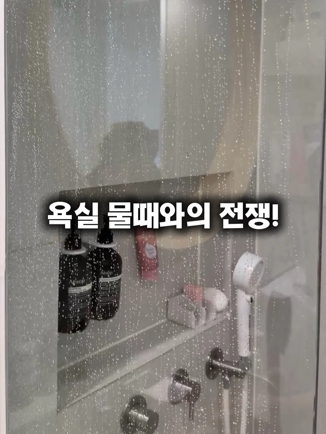 프리오더 의류 1