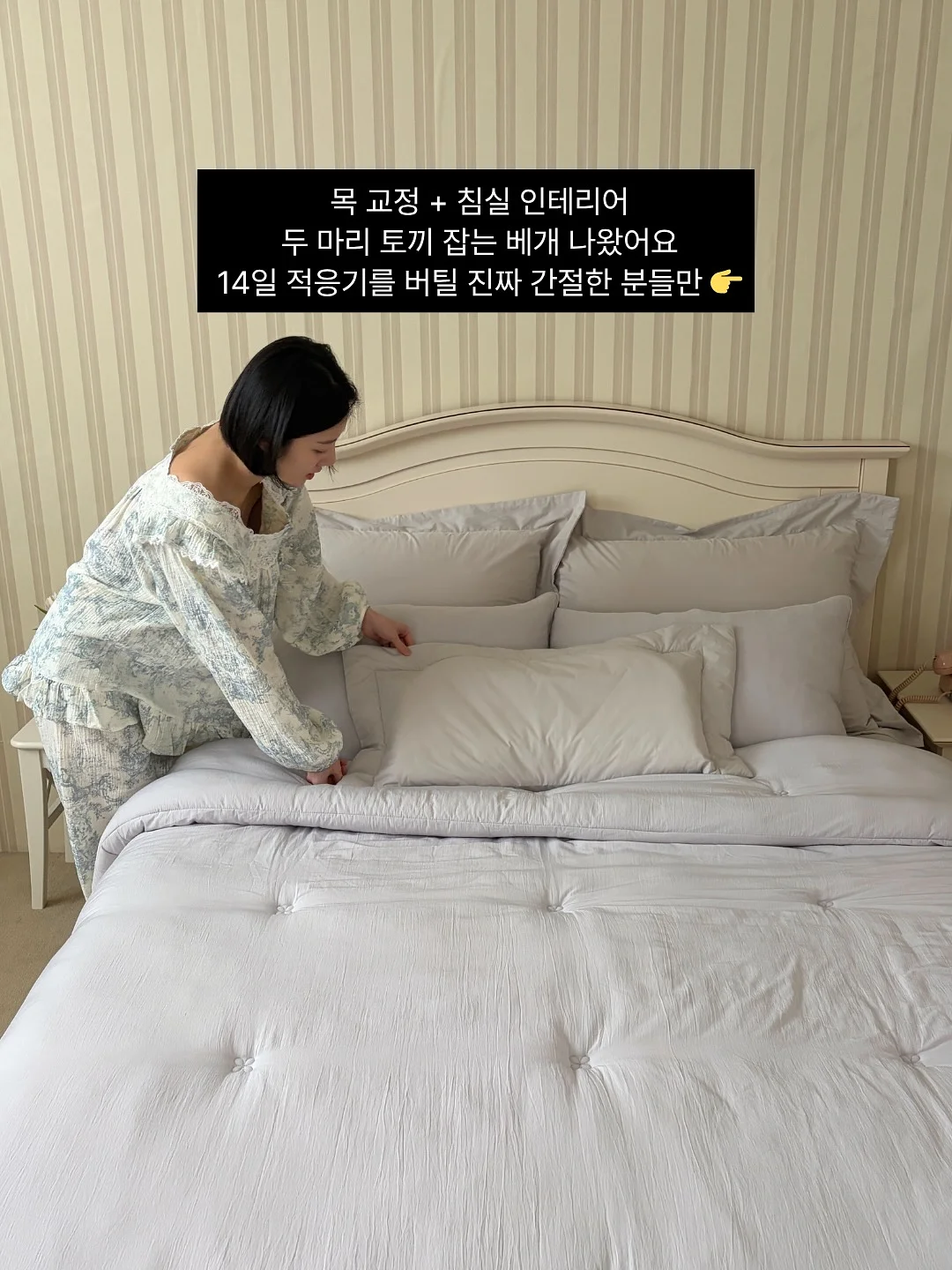 베어퀸 밀크티 시리즈 2