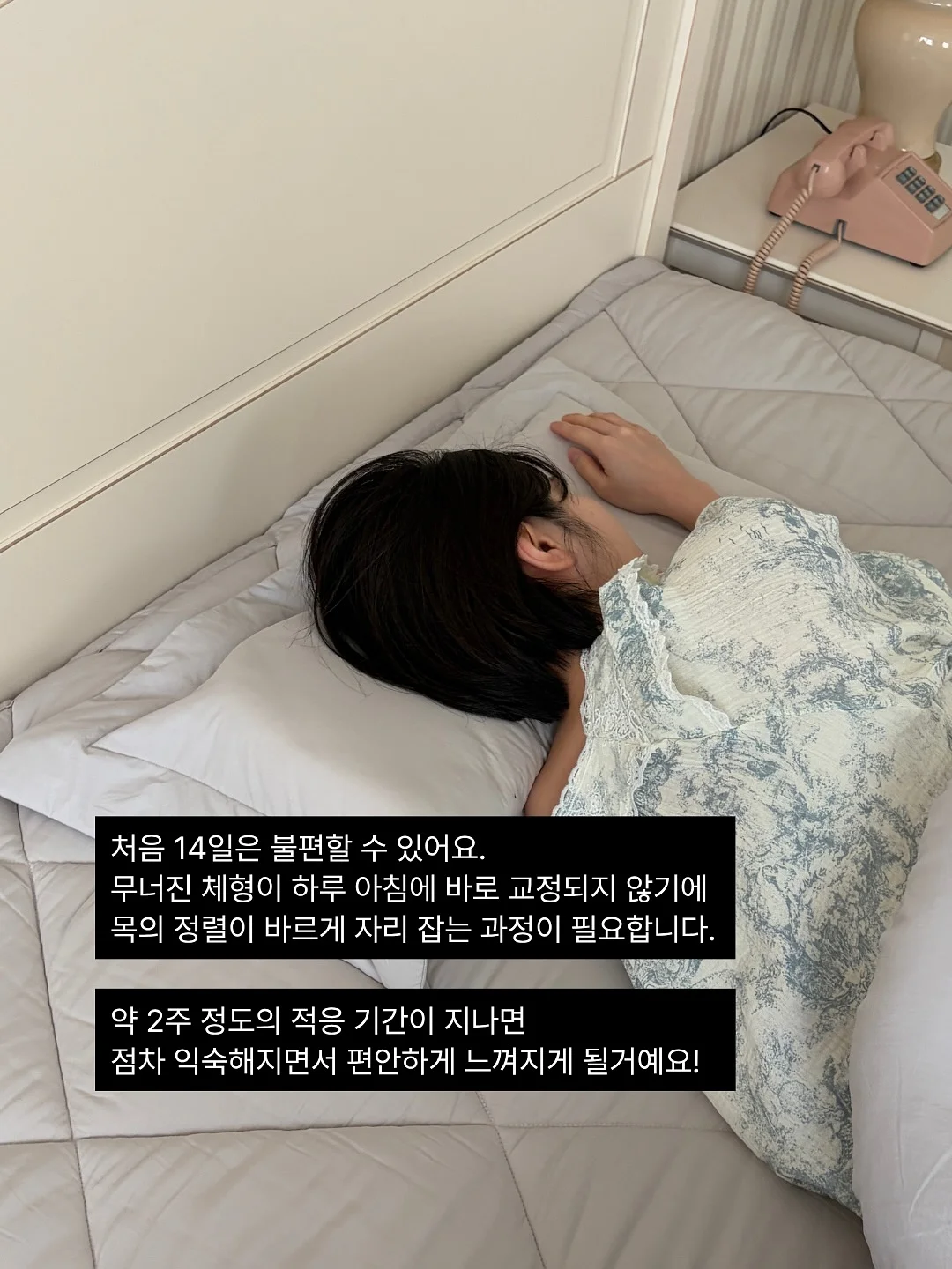 베어퀸 밀크티 시리즈 7