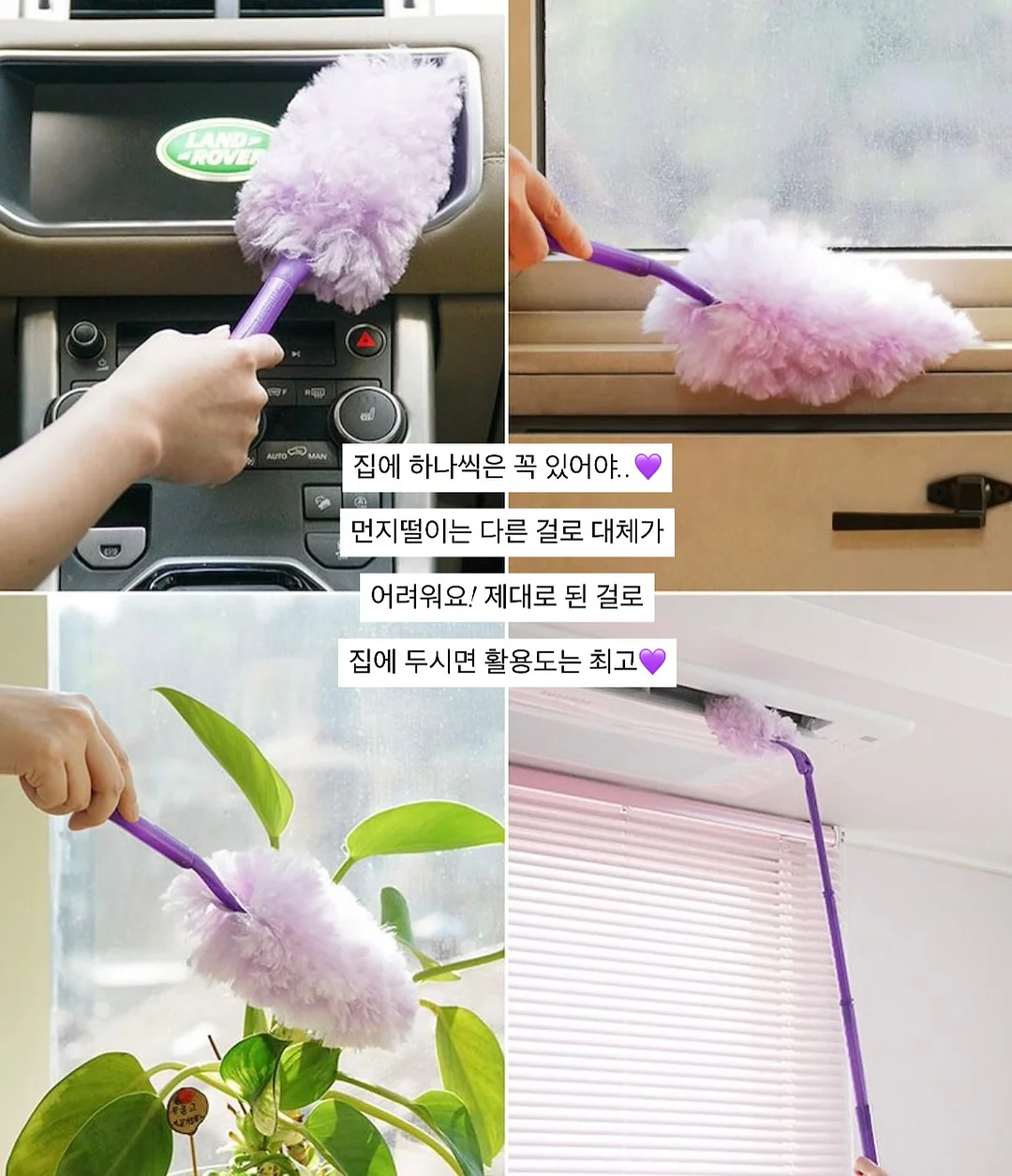 몰그린플러스 5