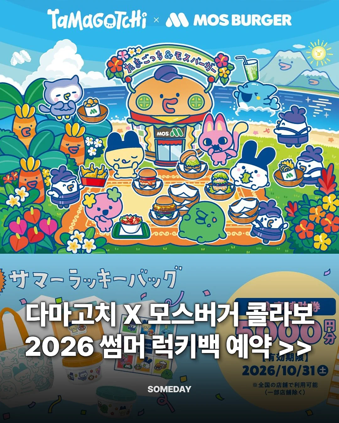 블랙탄 시바견 타니 1