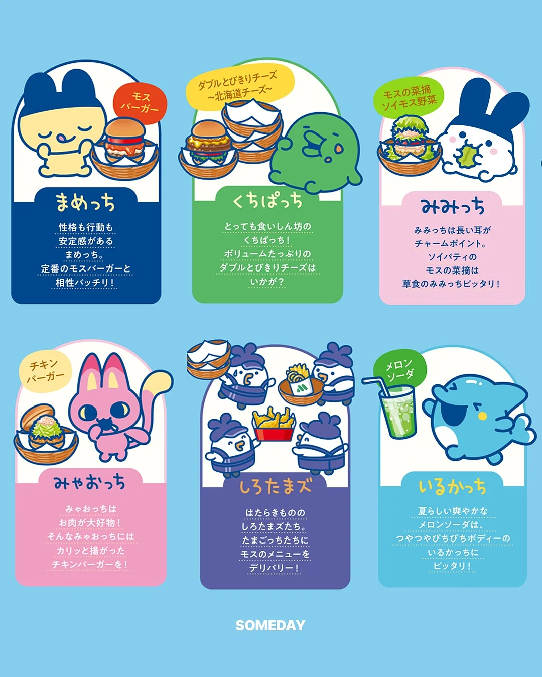블랙탄 시바견 타니 3