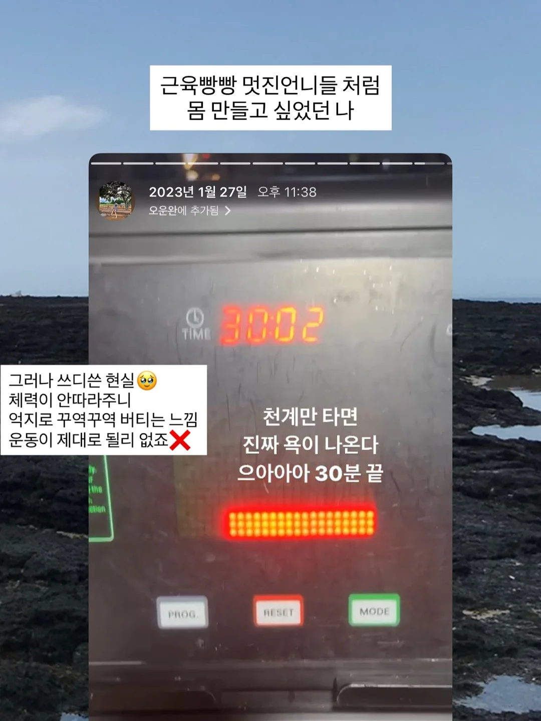 도엘 빅앤슬림 선쿠션 4