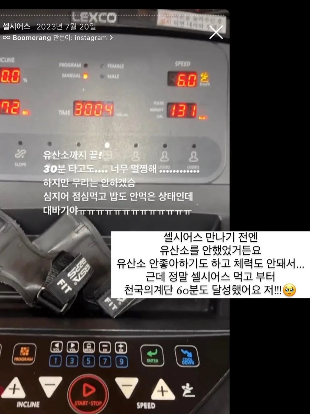 도엘 빅앤슬림 선쿠션 5