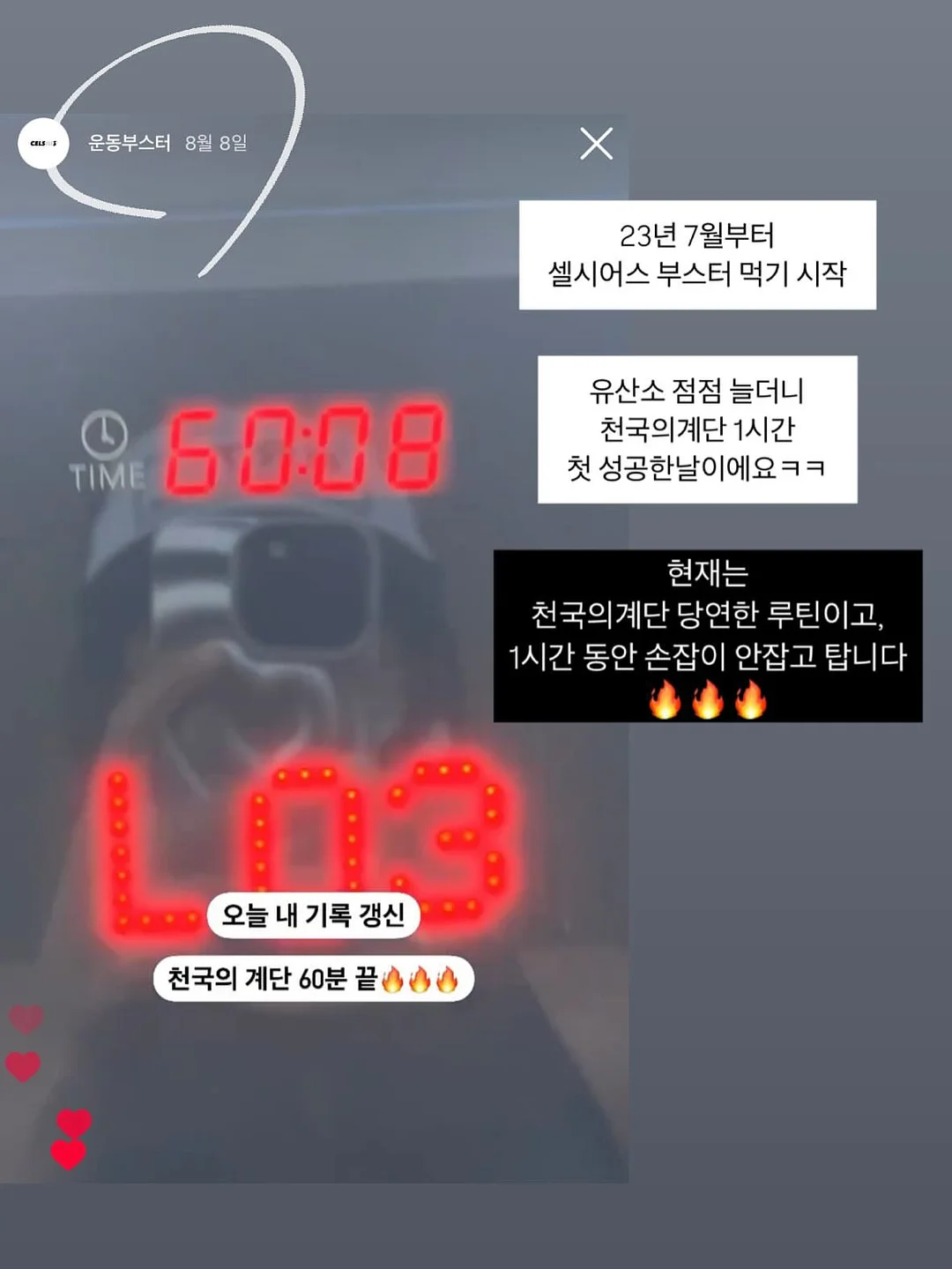도엘 빅앤슬림 선쿠션 6