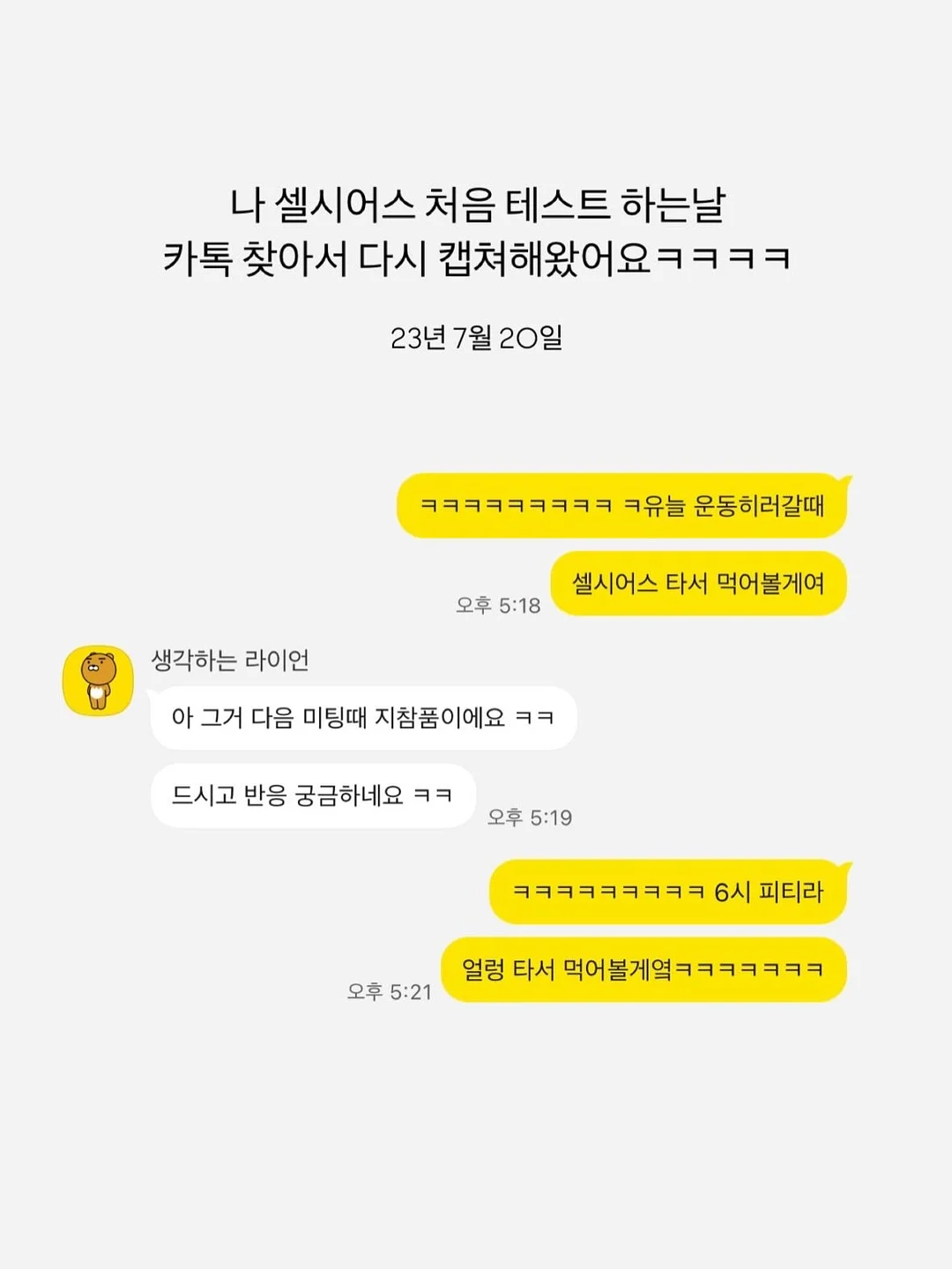도엘 빅앤슬림 선쿠션 8