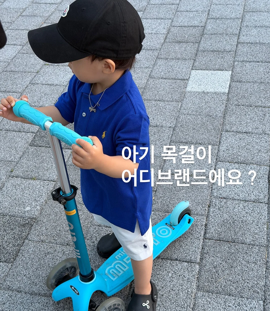내추럴그레이트니스 렐름 고양이 사료 1