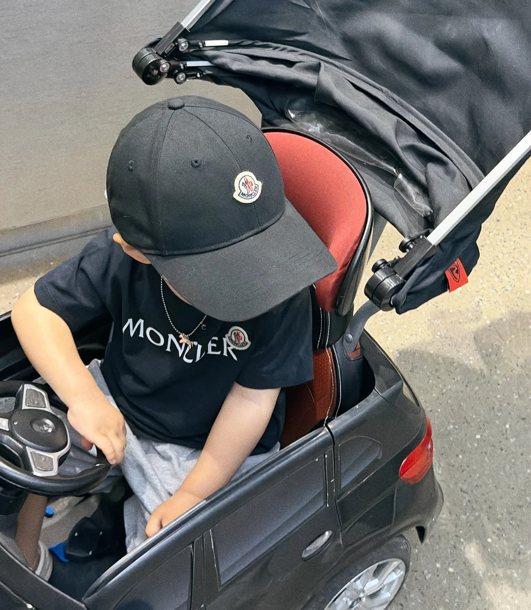 내추럴그레이트니스 렐름 고양이 사료 14
