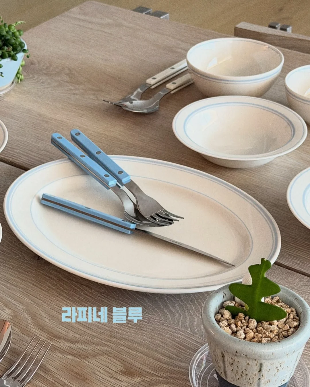 오셀렉트 텀블렌더 10