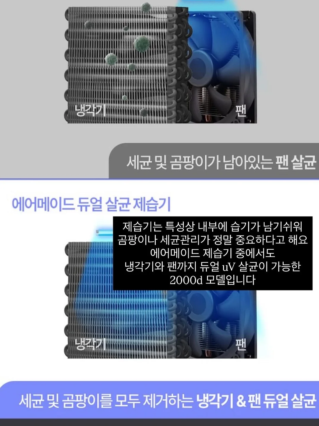 폴프랜즈 양말 3