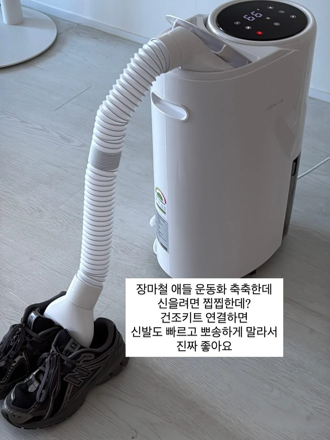 폴프랜즈 양말 8
