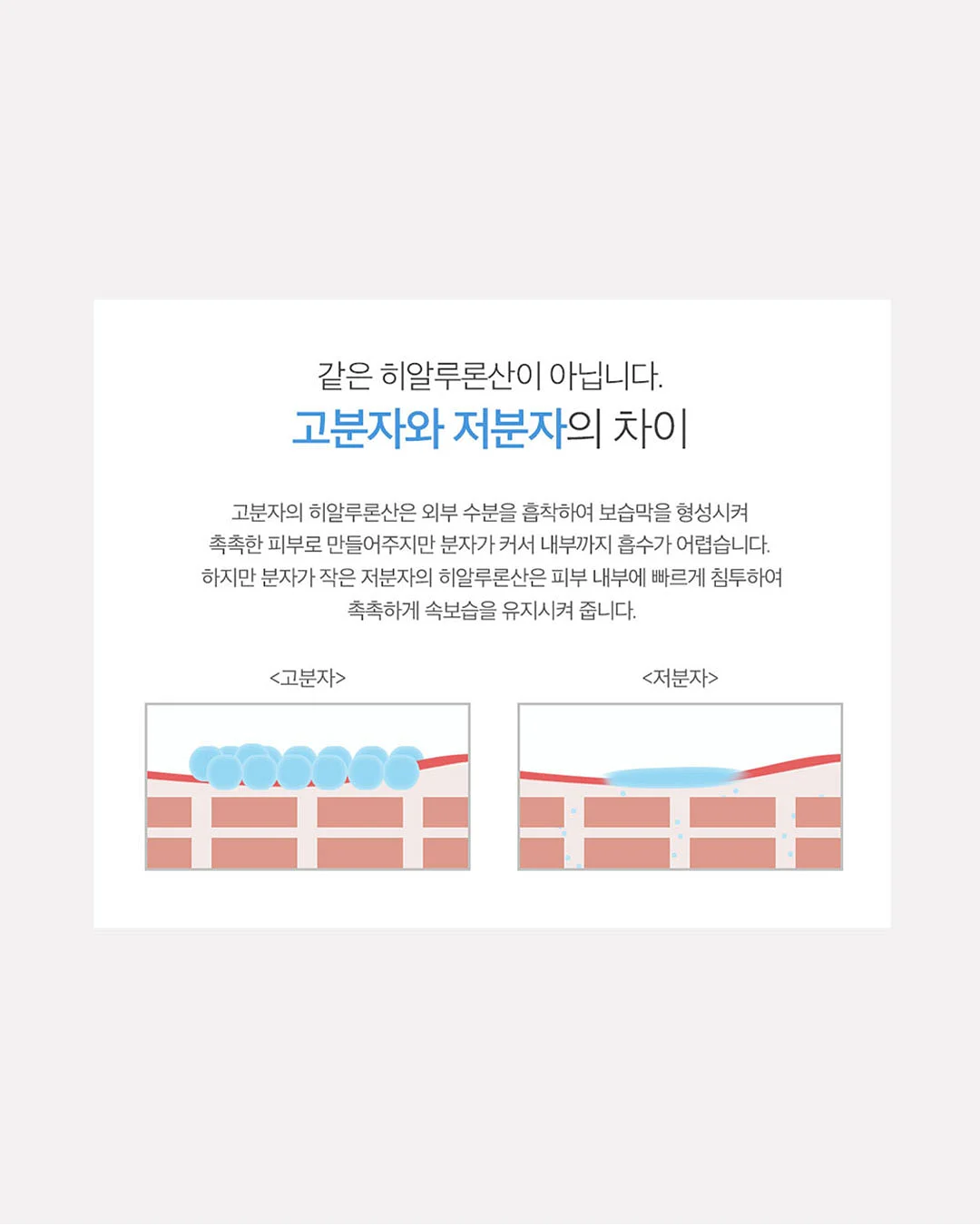 자연지감 명란 5