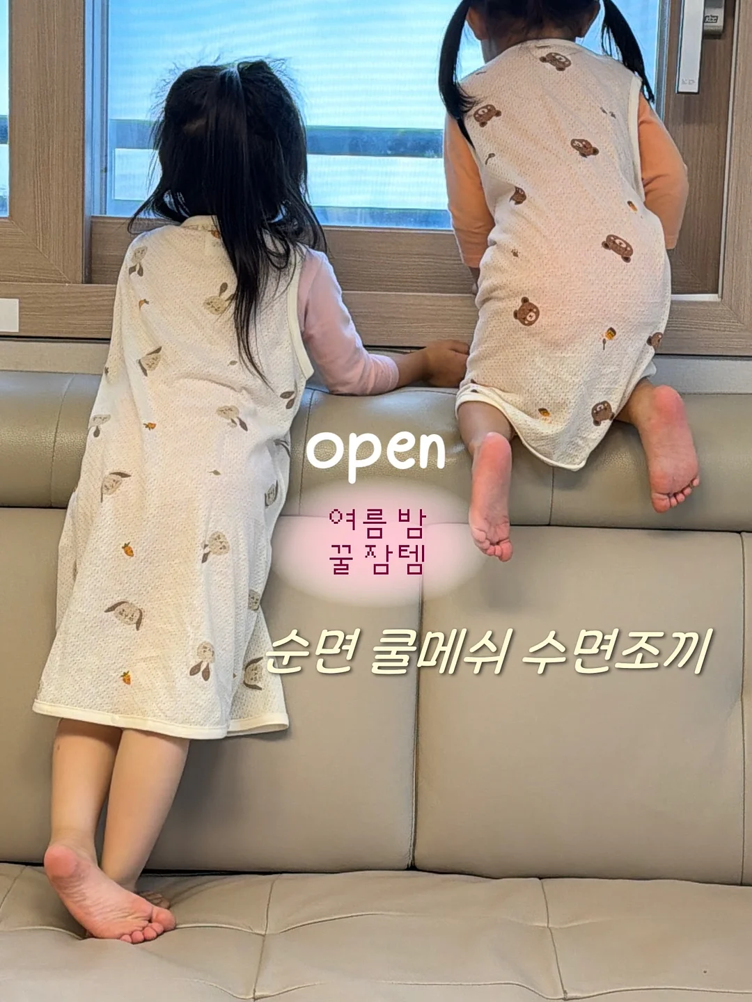독일 알트바서 접시 1