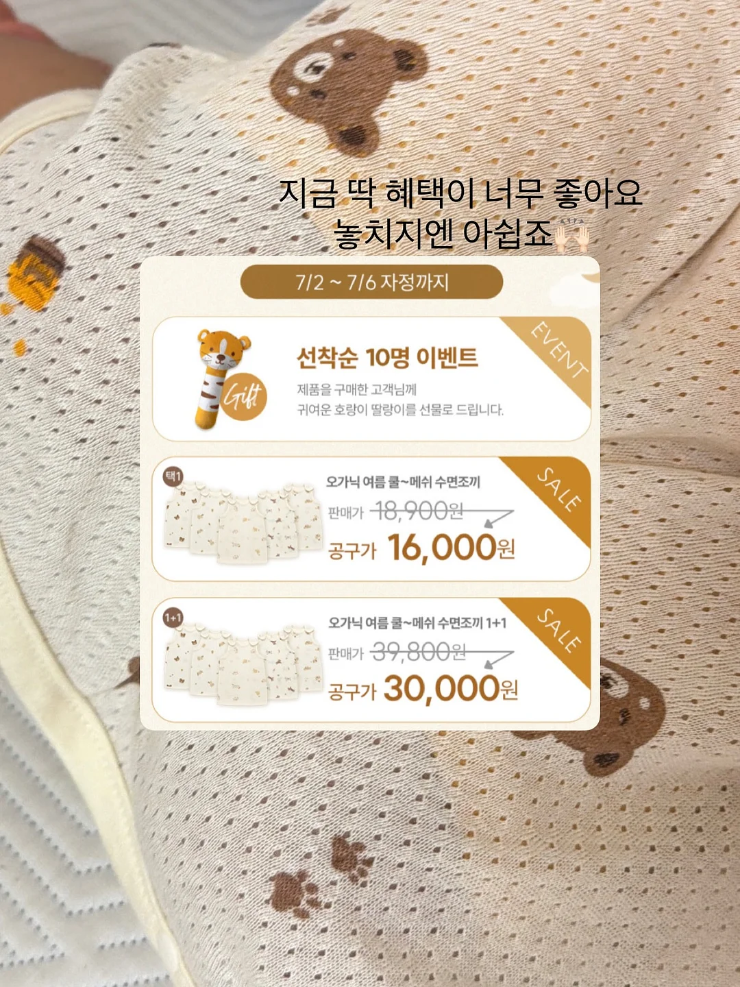 독일 알트바서 접시 2