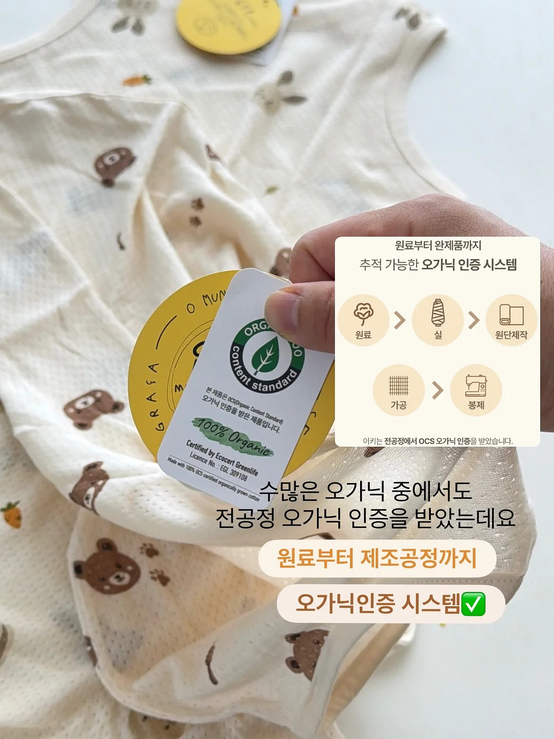 독일 알트바서 접시 5