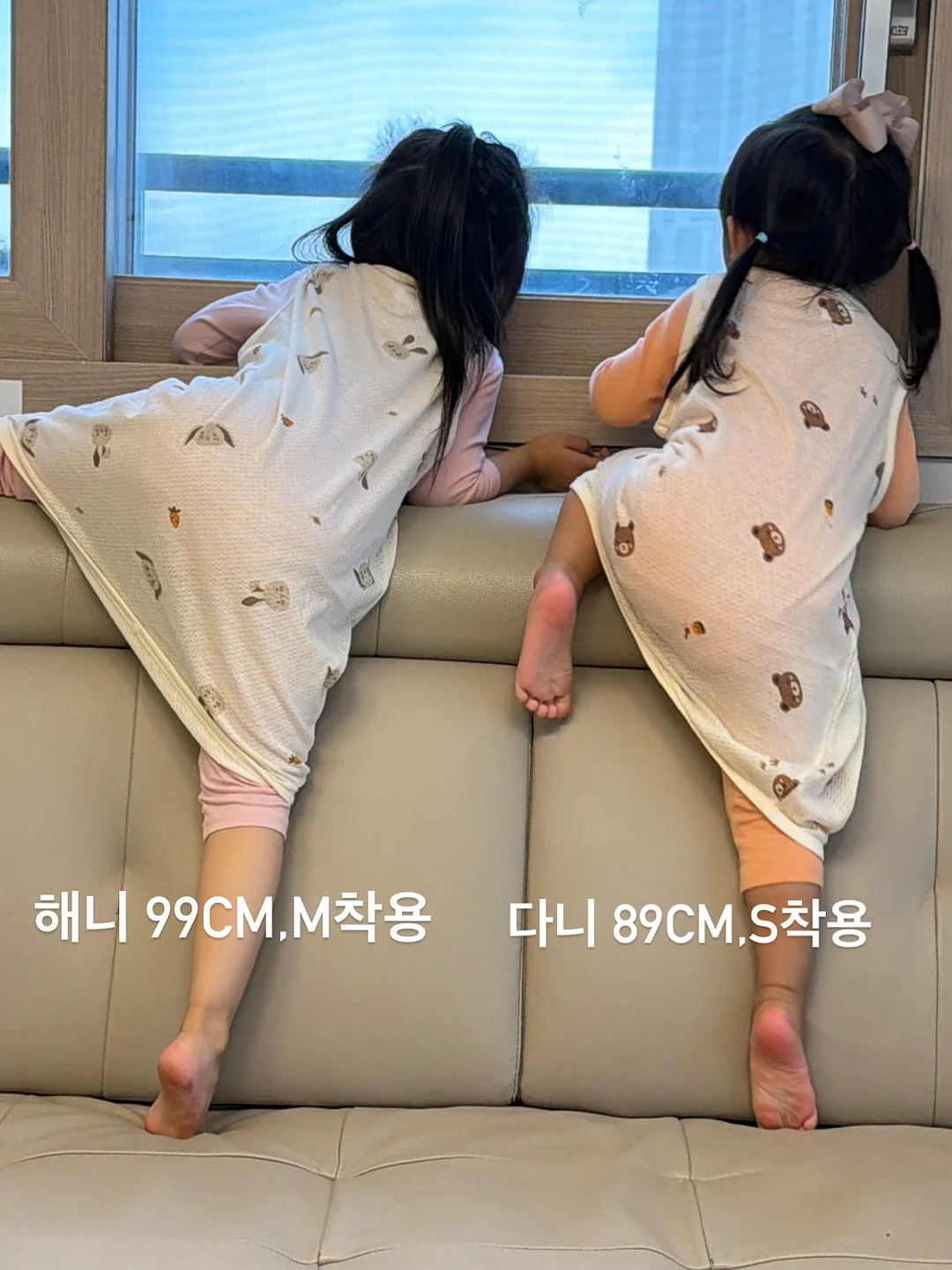 독일 알트바서 접시 10