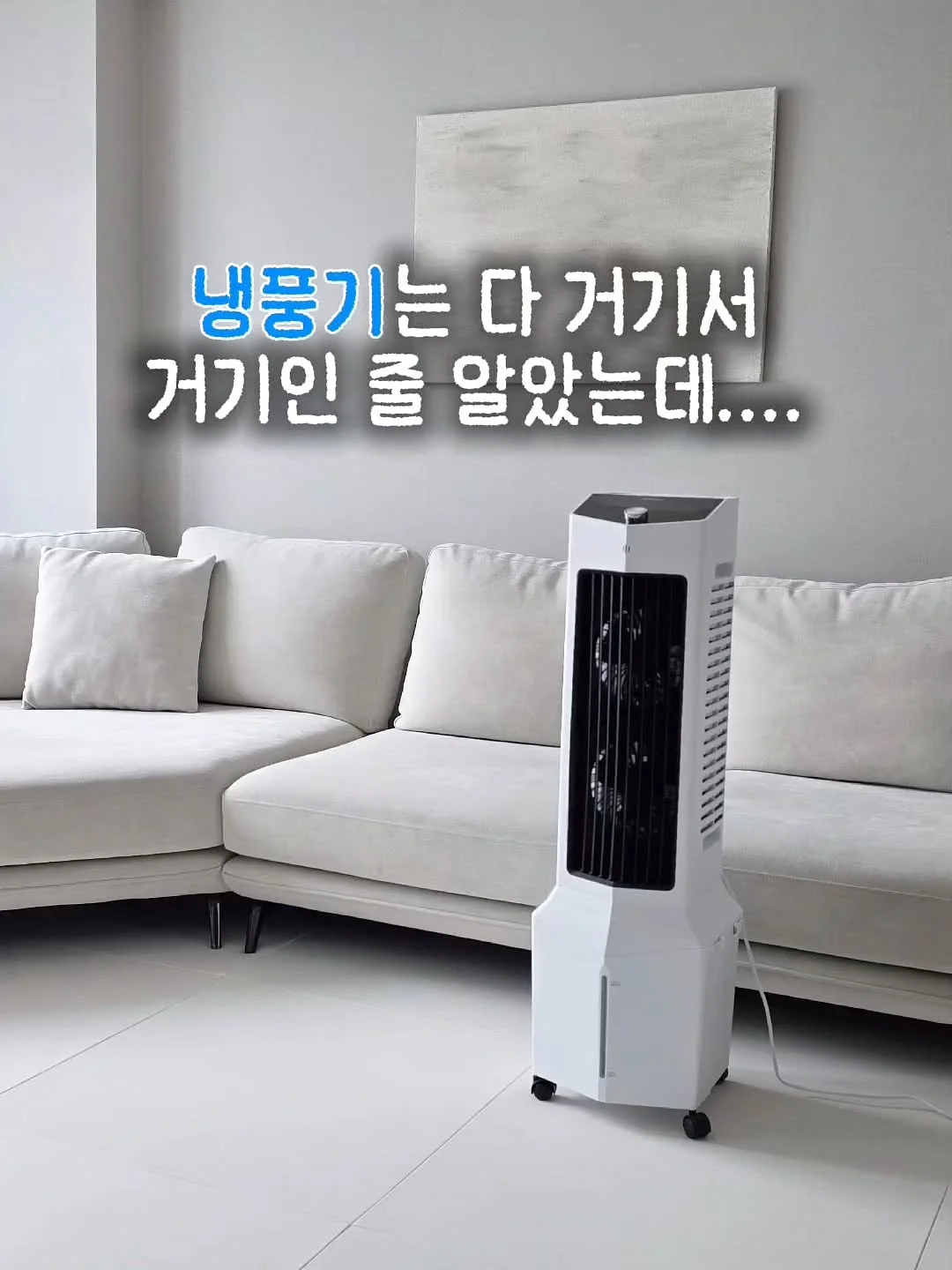 펫코본 선인장 캣폴 1
