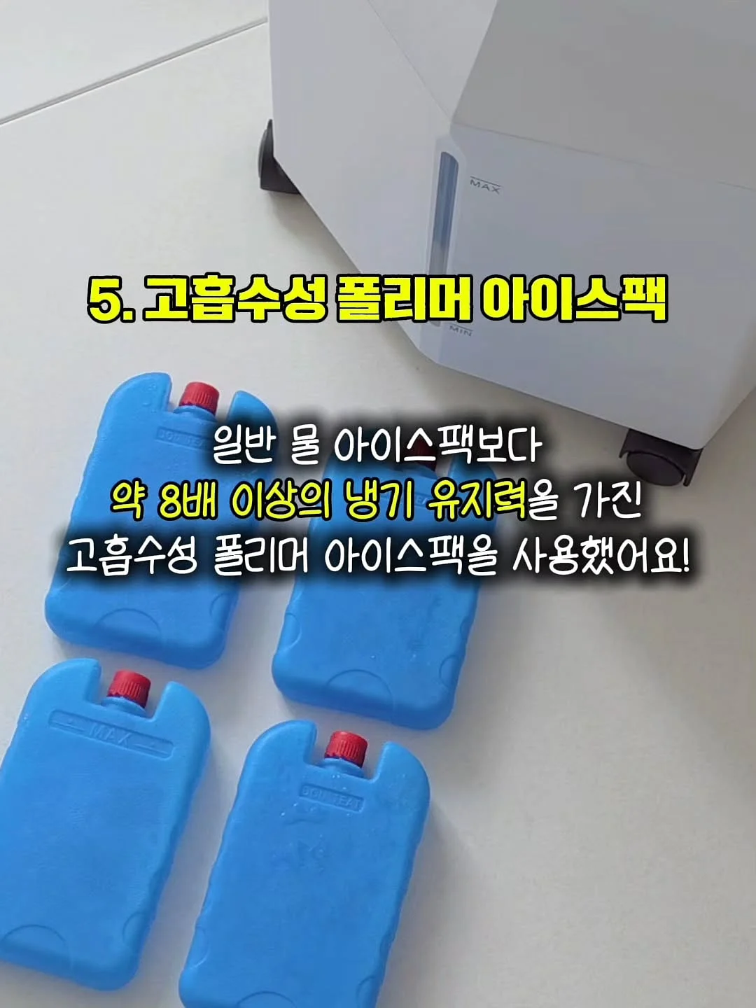 펫코본 선인장 캣폴 8