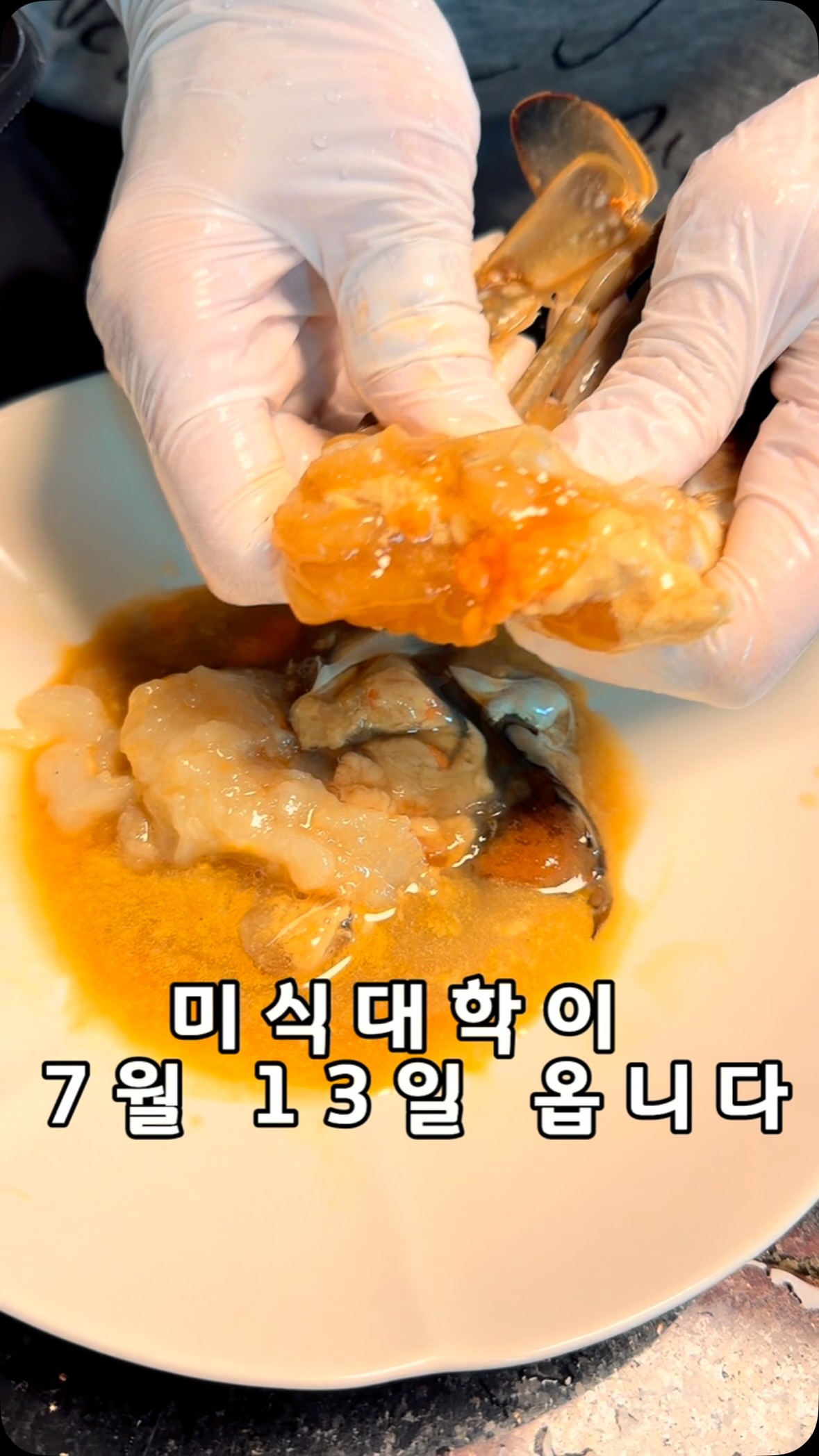 컬러 성향 분석 CPA