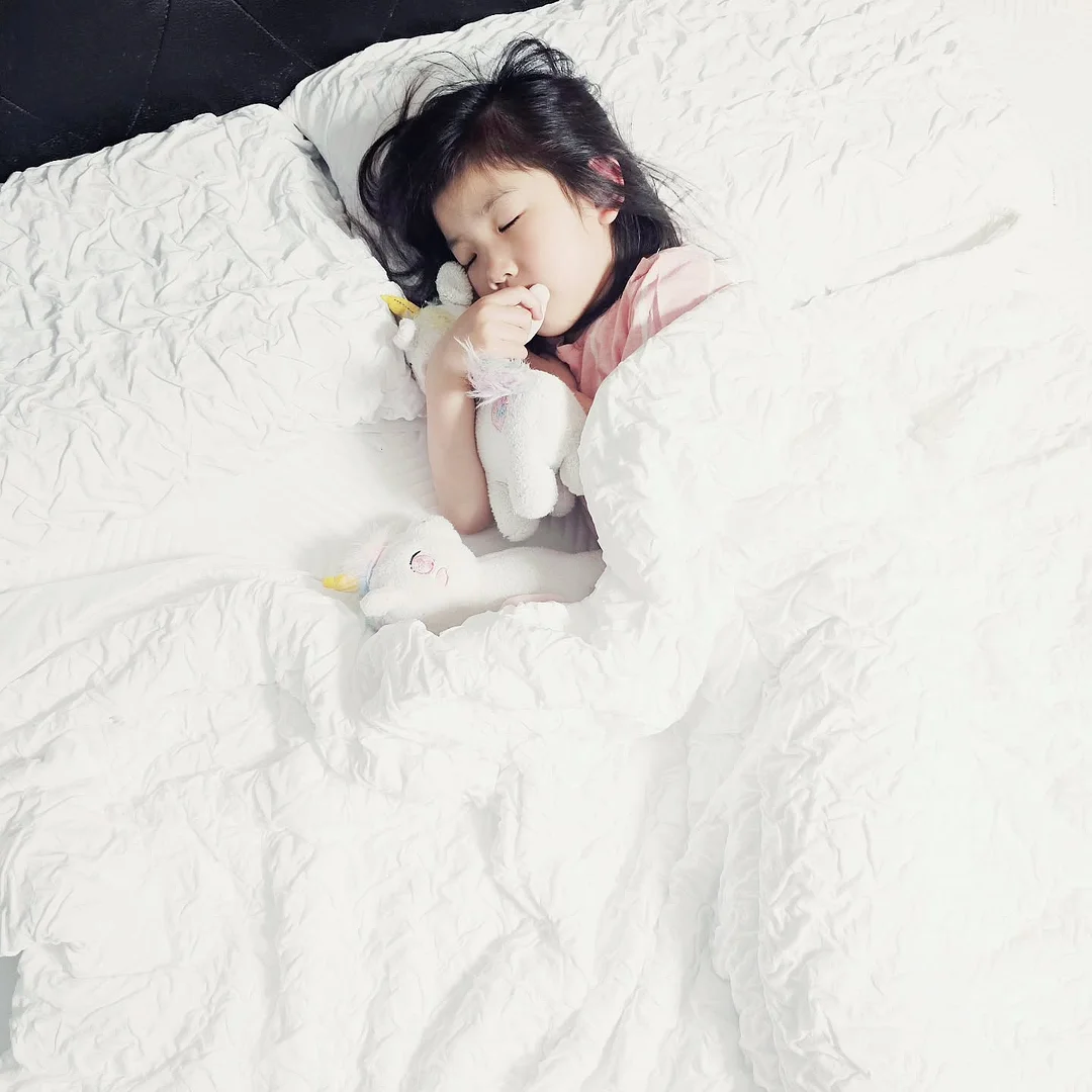 마이마인 촬영 거치대 세트 2