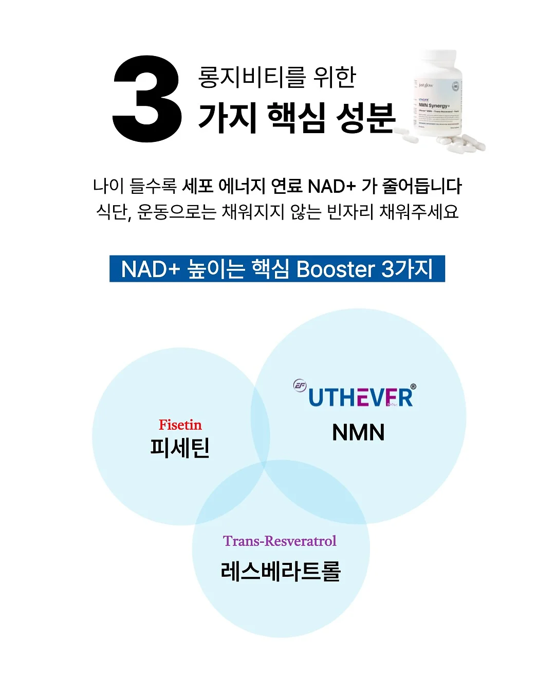 5월의 정원만들기 워크숍 4