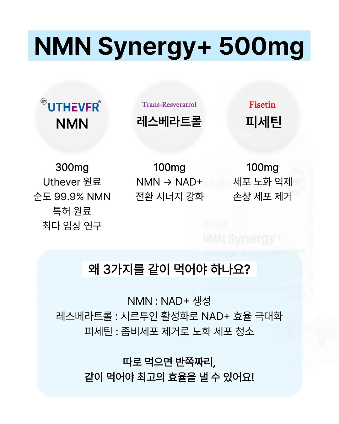5월의 정원만들기 워크숍 5
