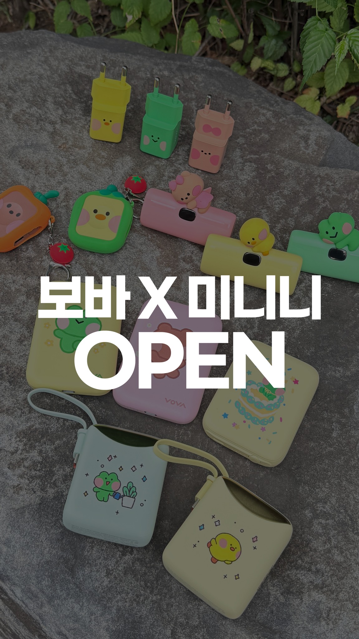 배추흰나비 키우기 & 개미 관찰키트