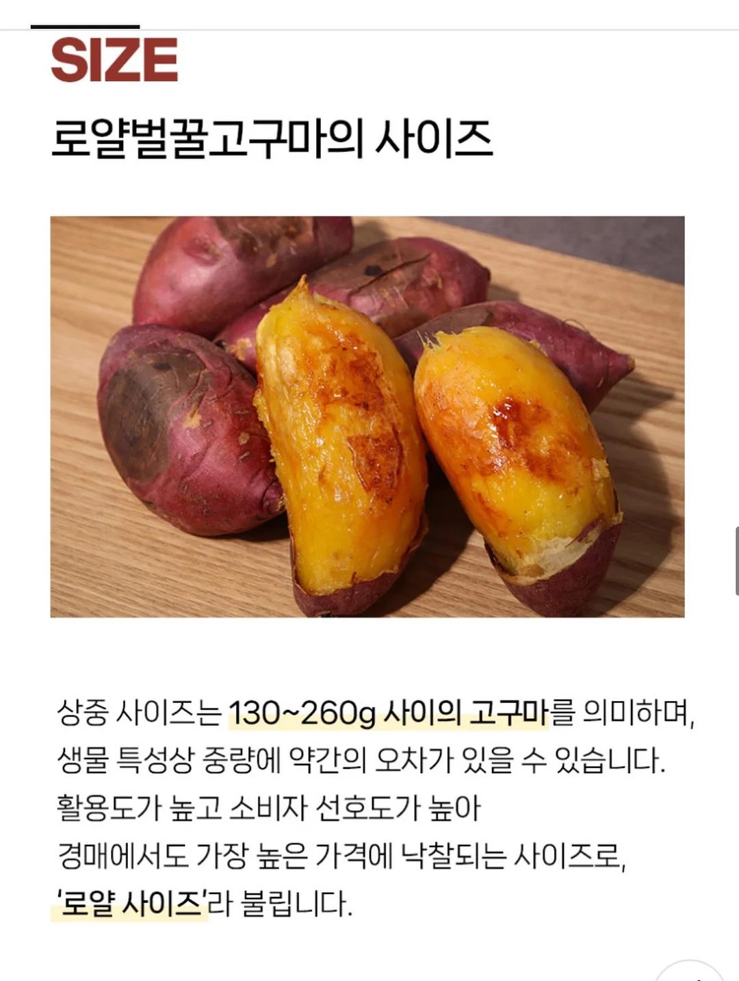이지아이녹용홍삼 17