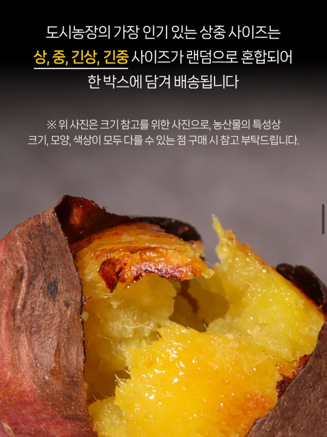 이지아이녹용홍삼 18