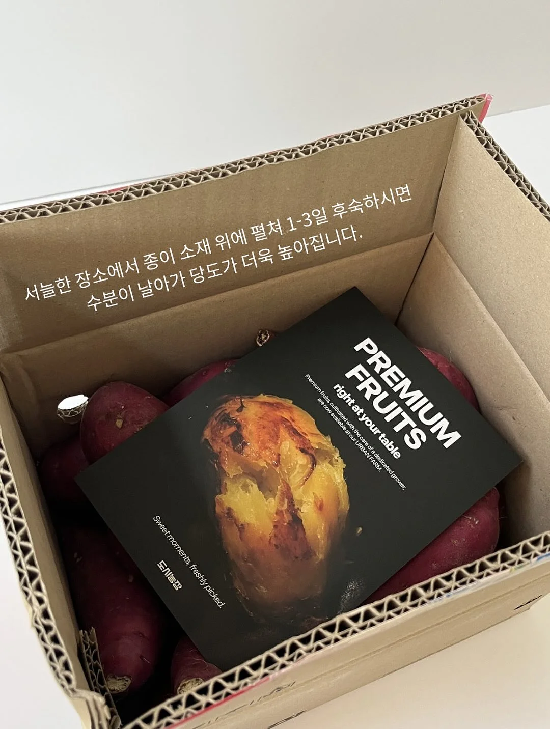 이지아이녹용홍삼 5