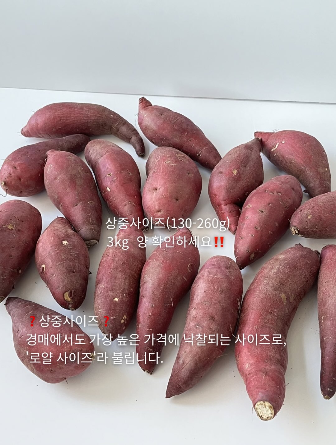 이지아이녹용홍삼 6