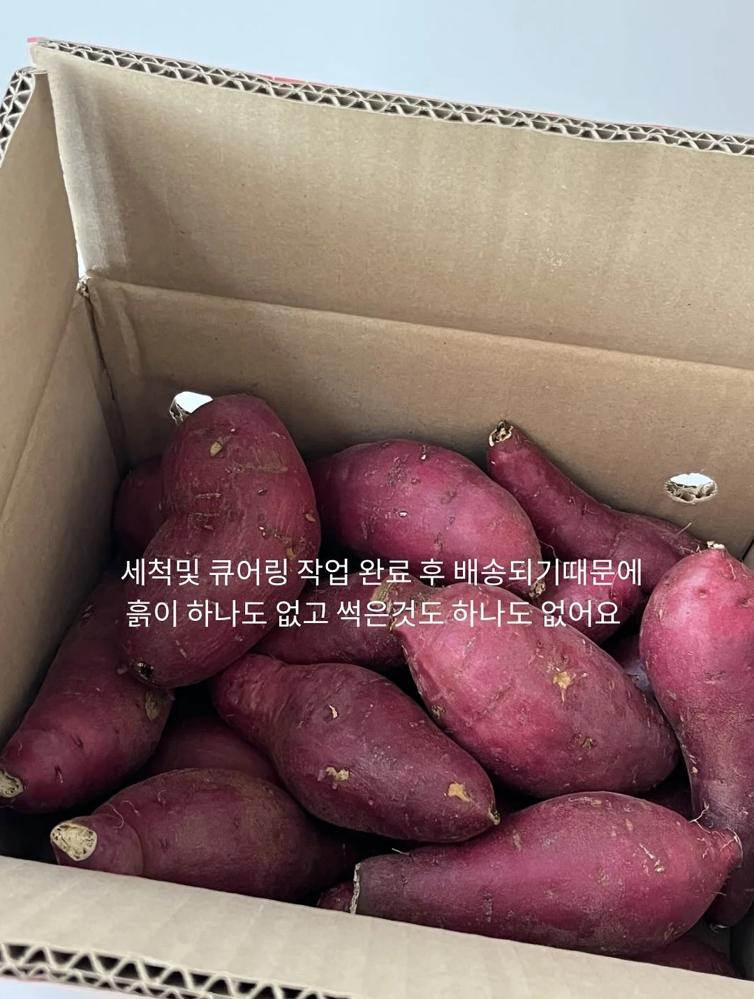 이지아이녹용홍삼 8