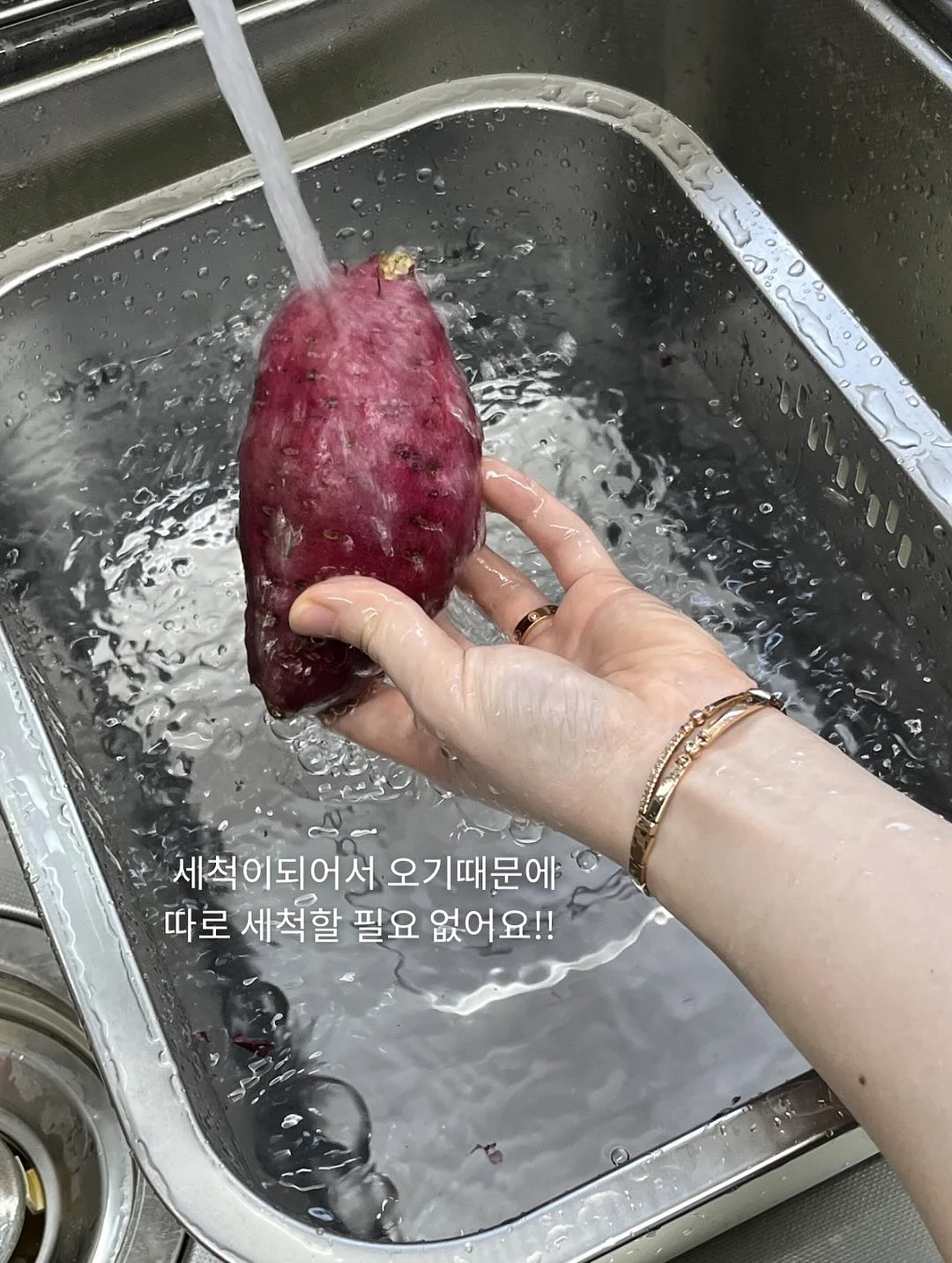 이지아이녹용홍삼 9