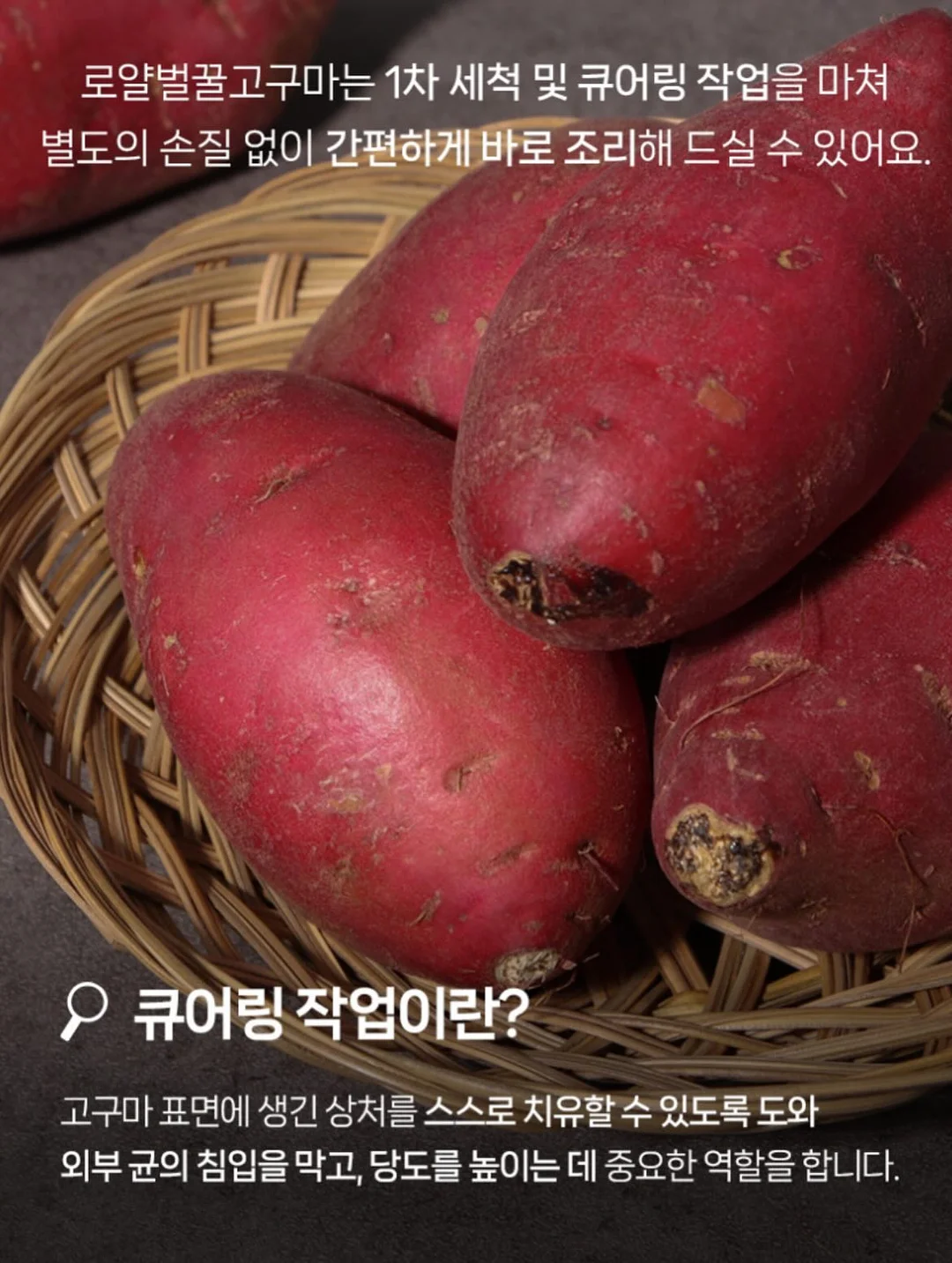 이지아이녹용홍삼 10