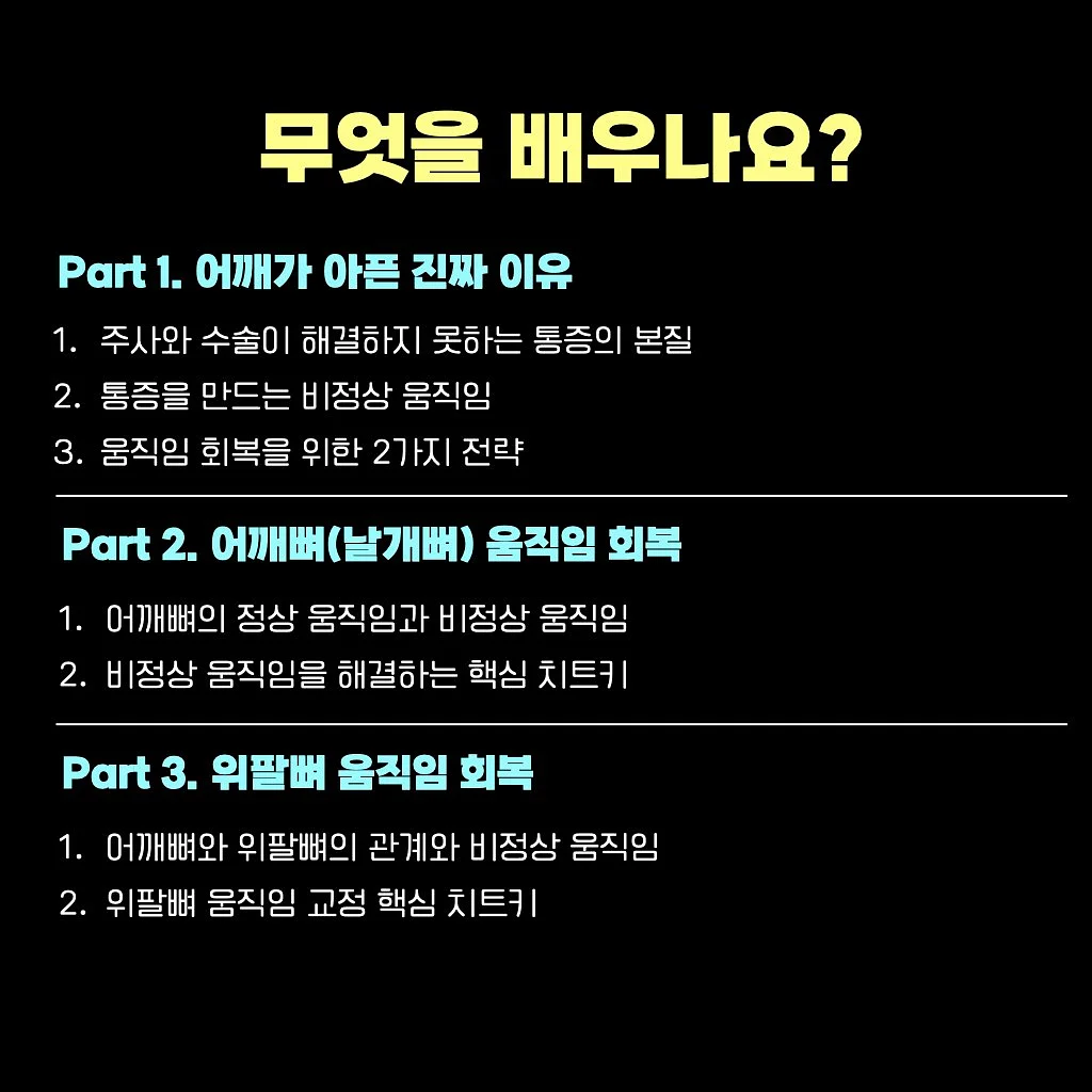브랜든 여행 압축 파우치 3