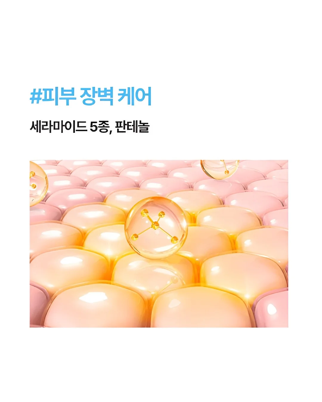 지니에스3 휴대용 유모차 11