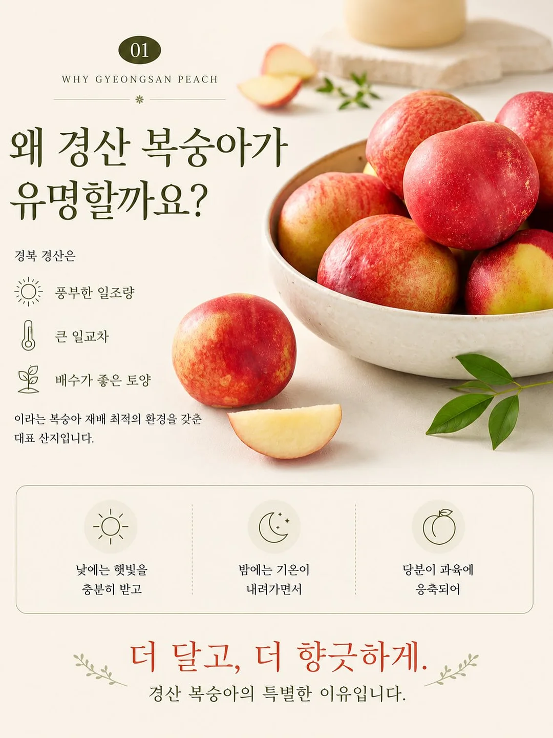 루꼴라 1kg 6