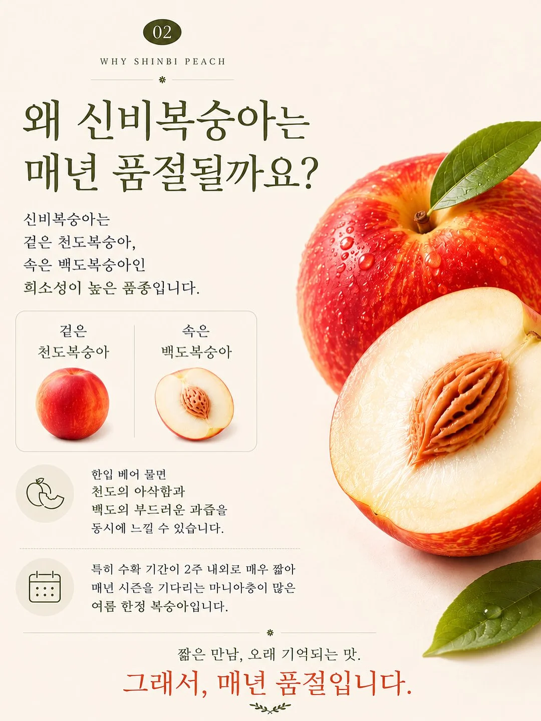 루꼴라 1kg 7
