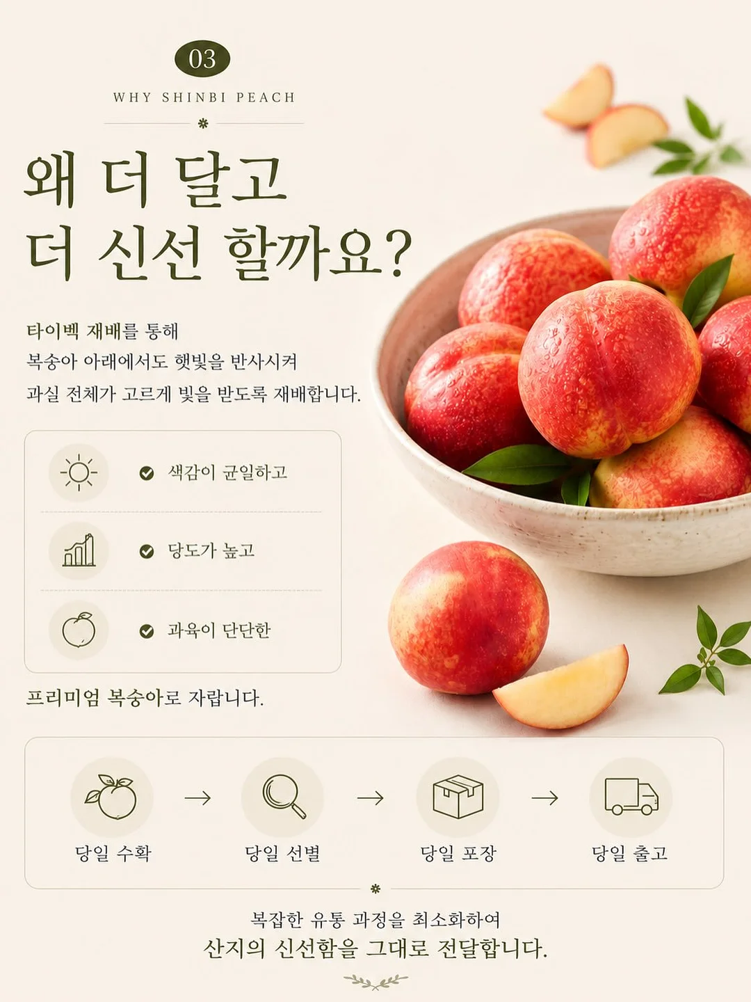 루꼴라 1kg 8