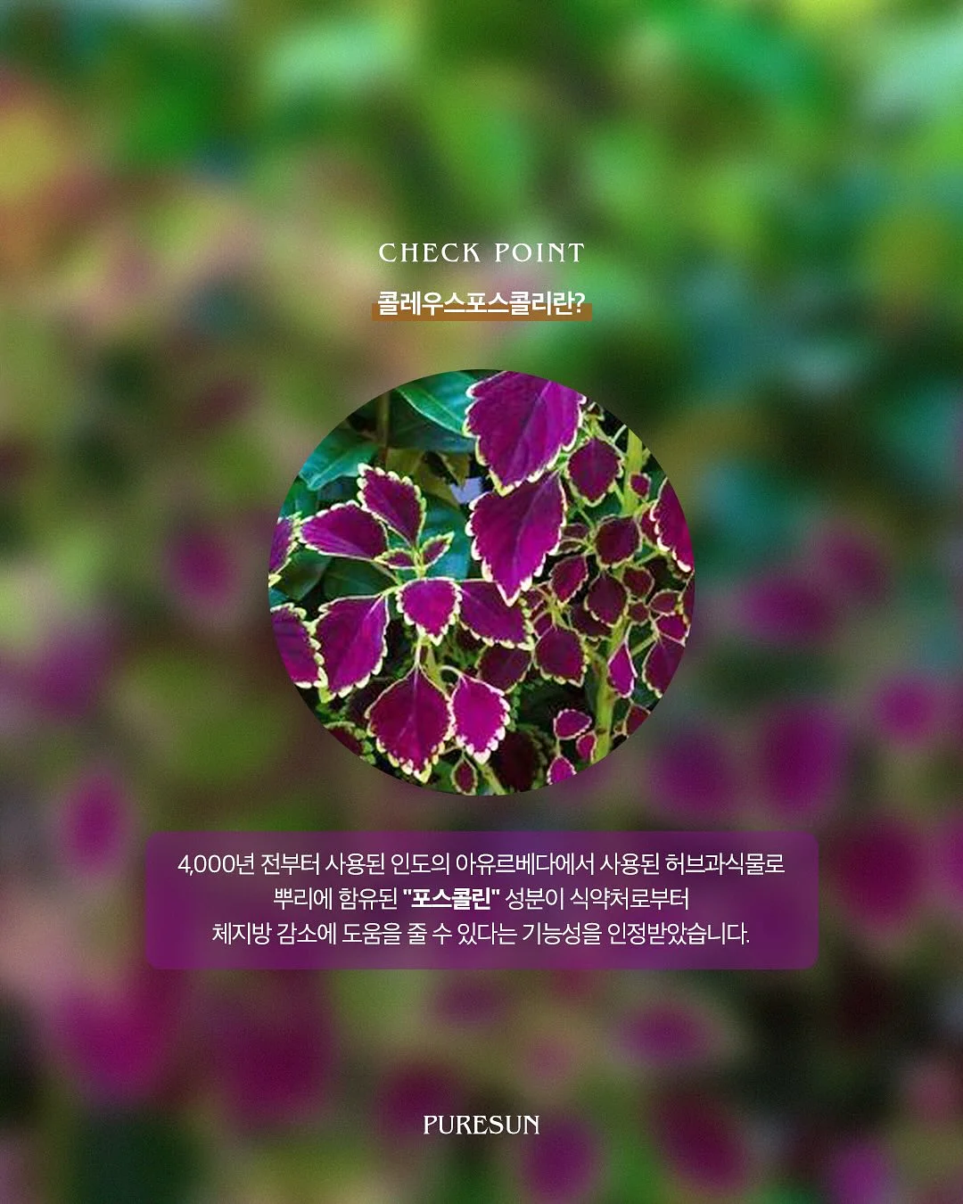 드로잉 커플티 6