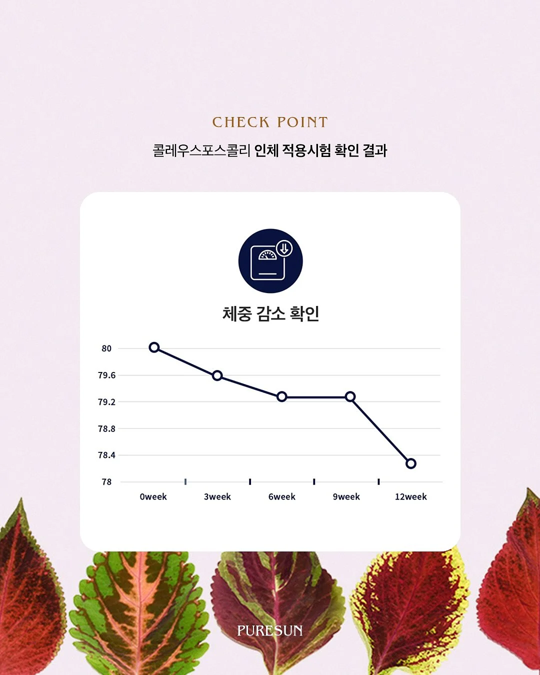 드로잉 커플티 8