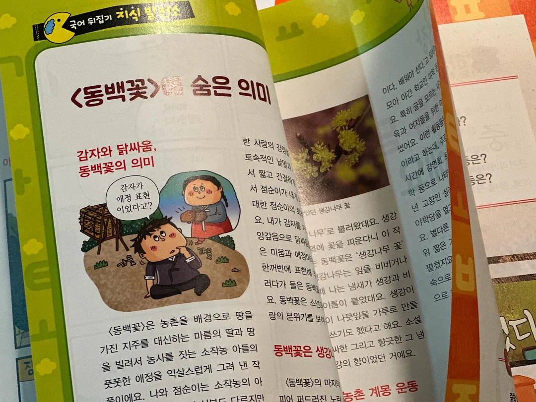 첼시세트 16