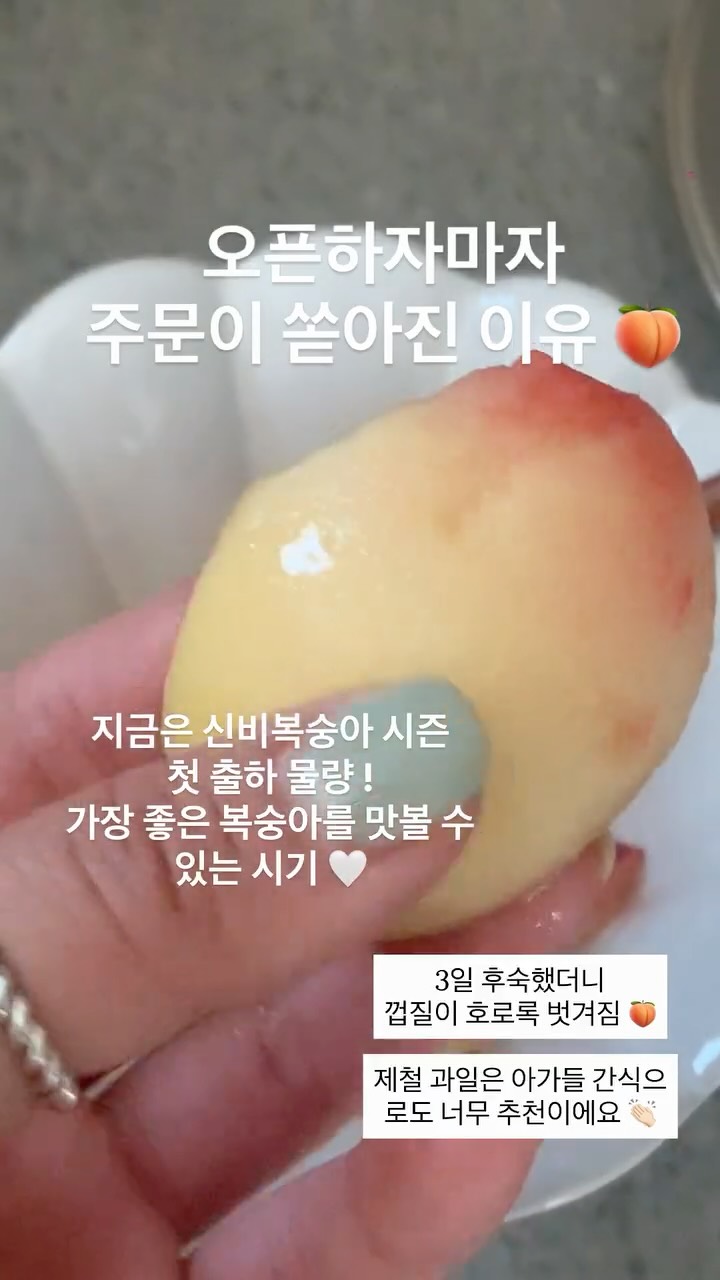 튤립스프보온병 500ml