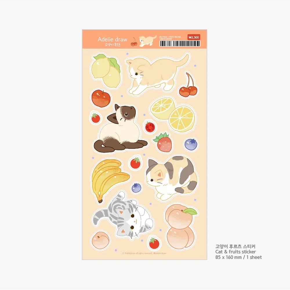 카네이션 꽃다발 5