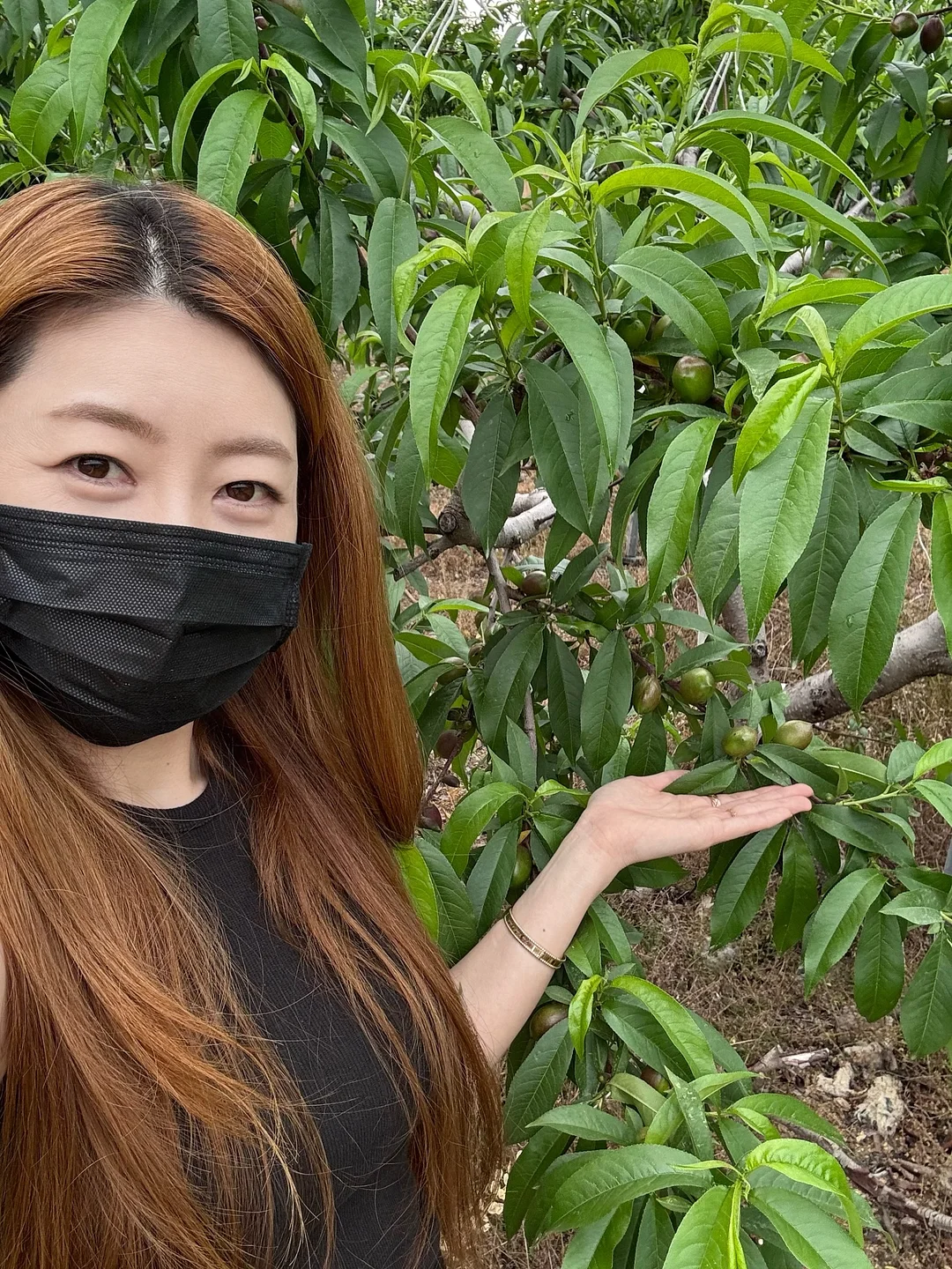 운동화 뒤꿈치 보수 스티커 1